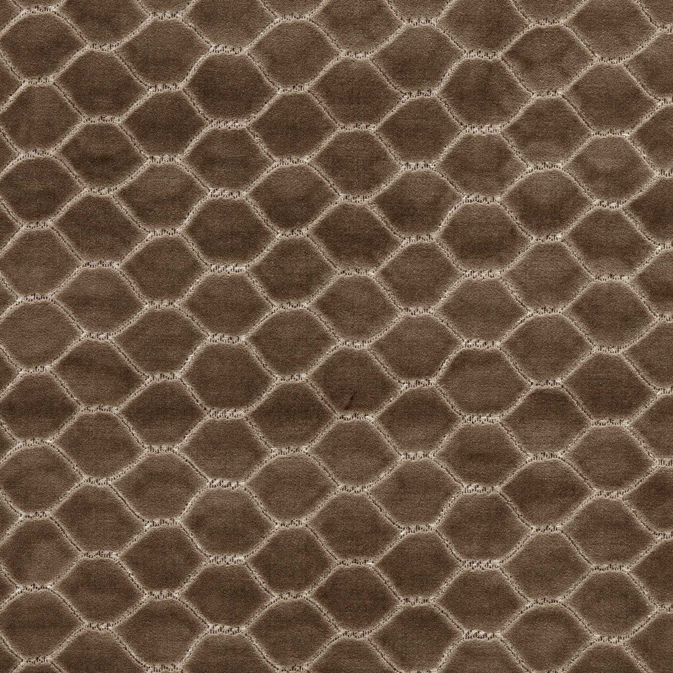 Faraday Velvet Walnut Fabric by SAN