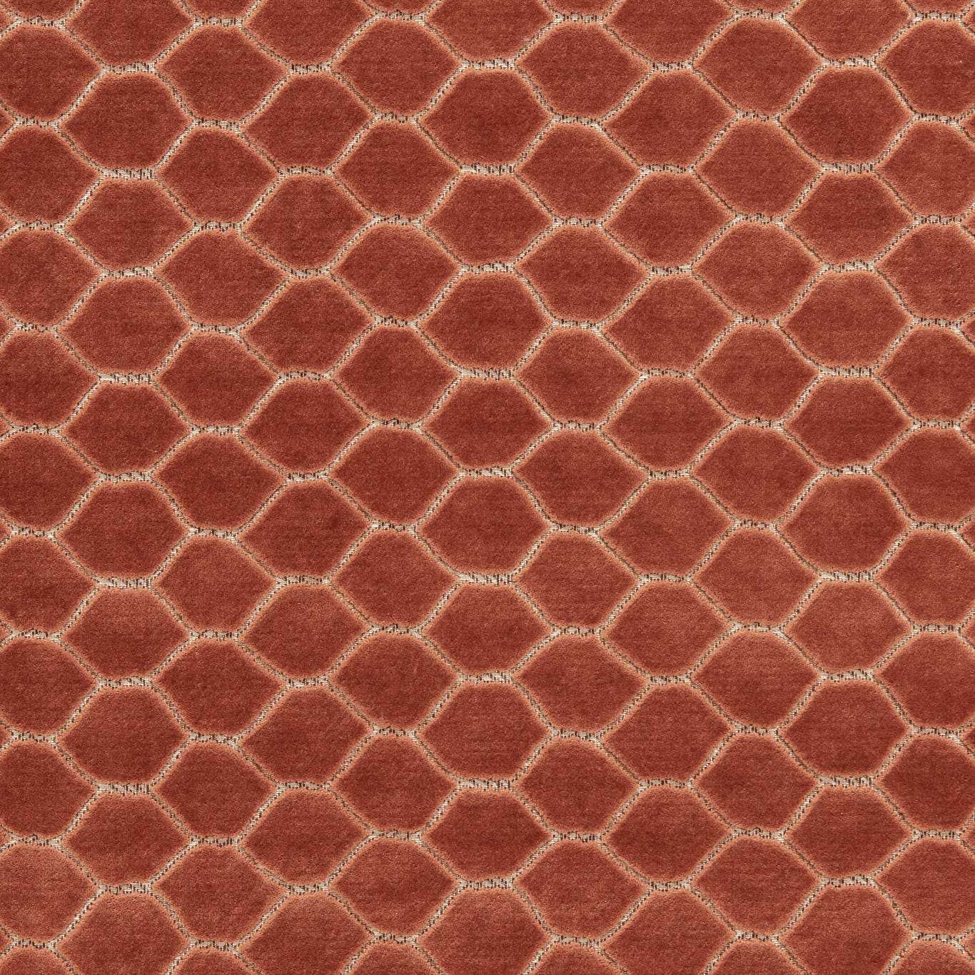 Faraday Velvet Sandstone Fabric by SAN