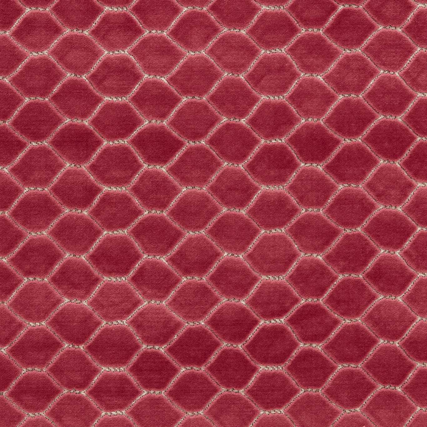 Faraday Velvet Carmine Fabric by SAN