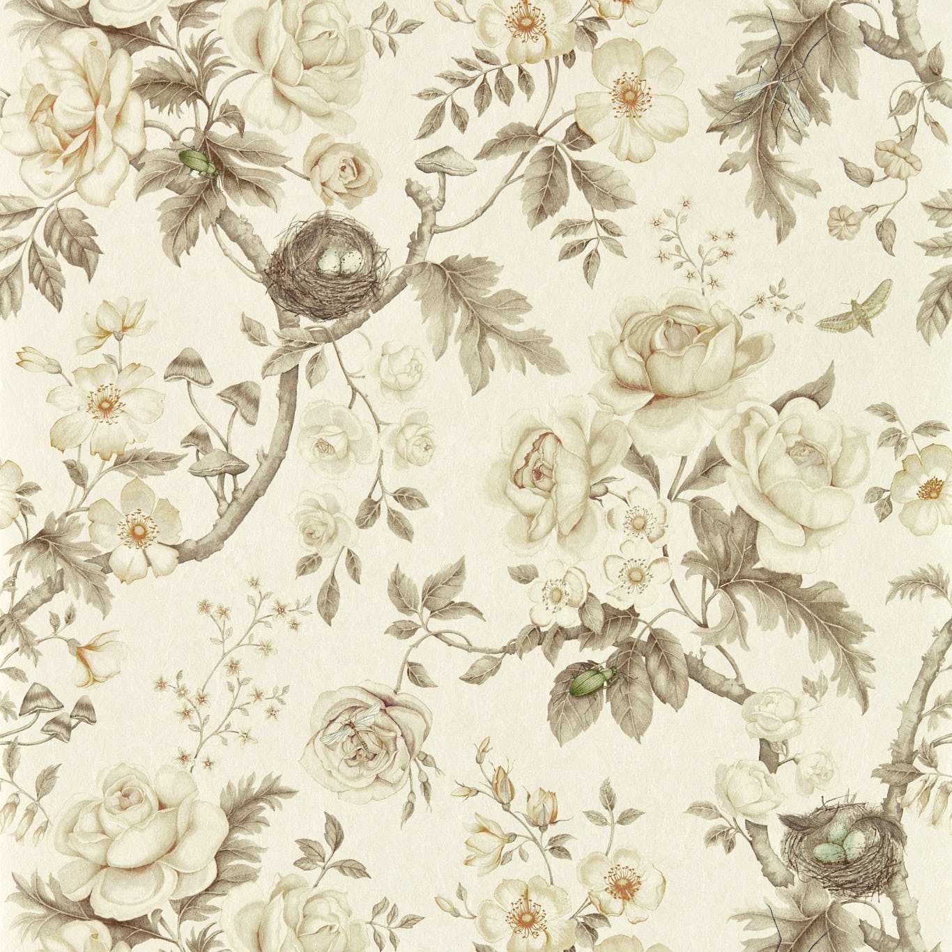 Tansy Bloom Oyster Wallpaper by SAN
