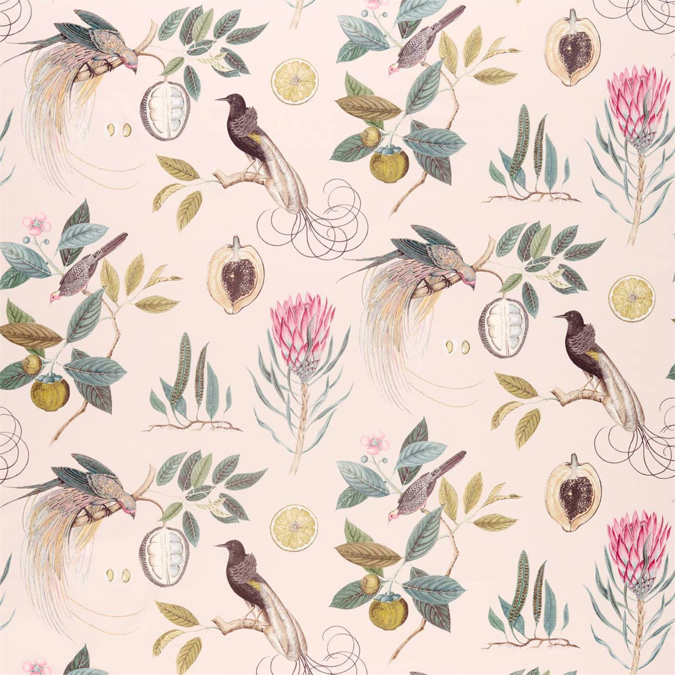Paradesia Orchid/Grey Fabric by SAN