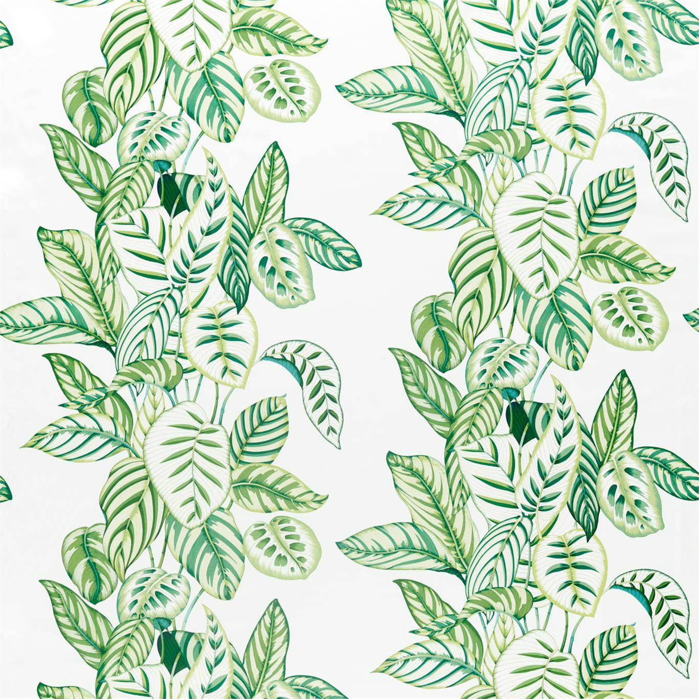 Calathea Botanical Green Fabric by SAN
