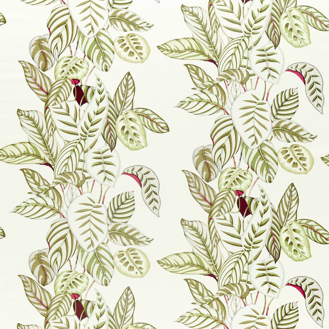 Calathea Olive Fabric by SAN
