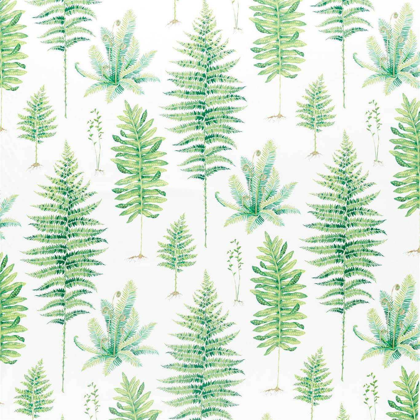 Fernery Botanical Green Fabric by SAN