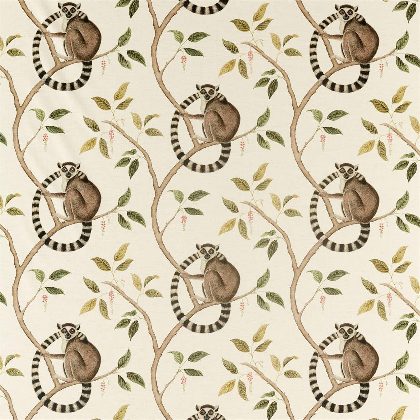 Ringtailed Lemur Ringtailed Lemur Olive Fabric by SAN