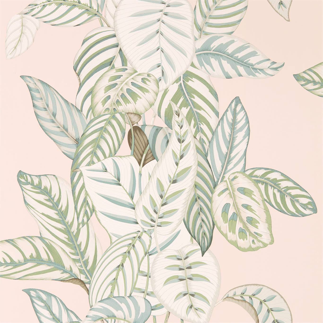 Calathea Orchid/Eucalyptus Wallpaper by SAN