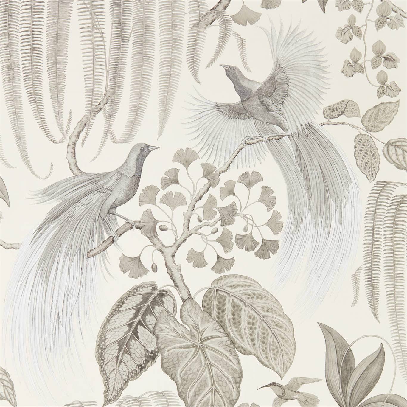 Bird Of Paradise Linen Wallpaper by SAN