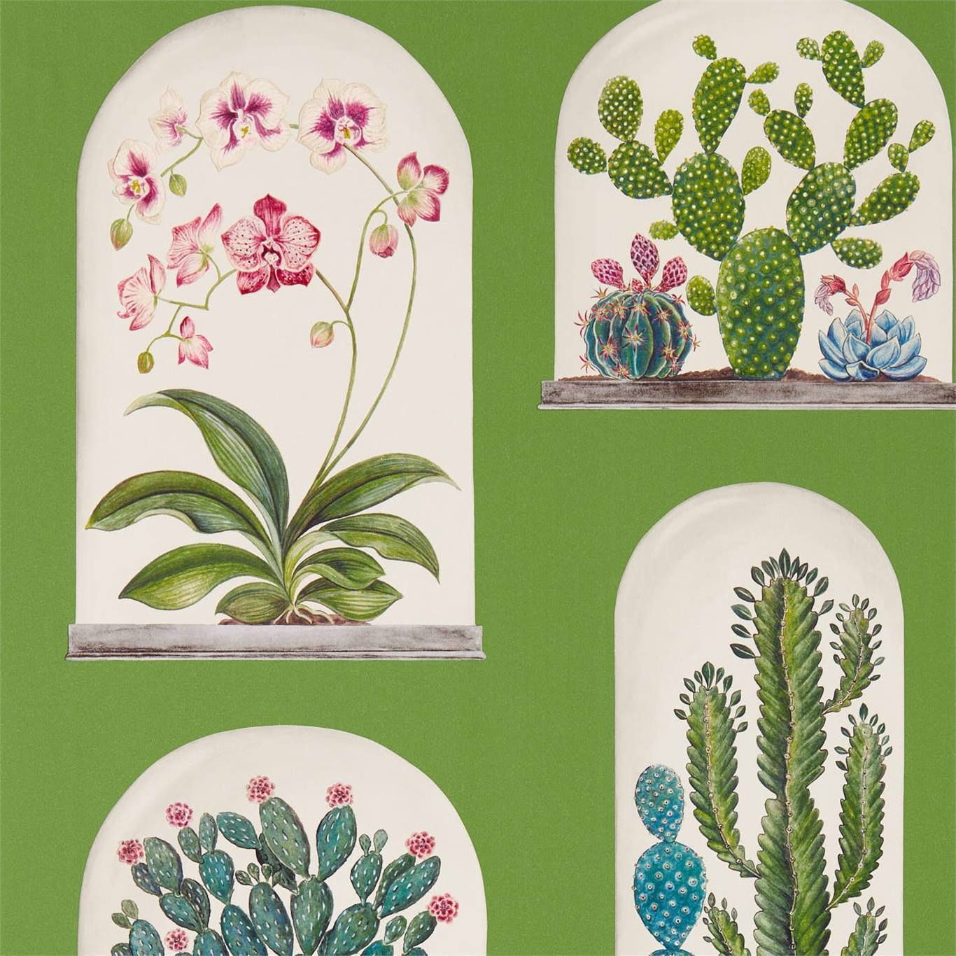 Terrariums Botanical Green/Multi Wallpaper by SAN