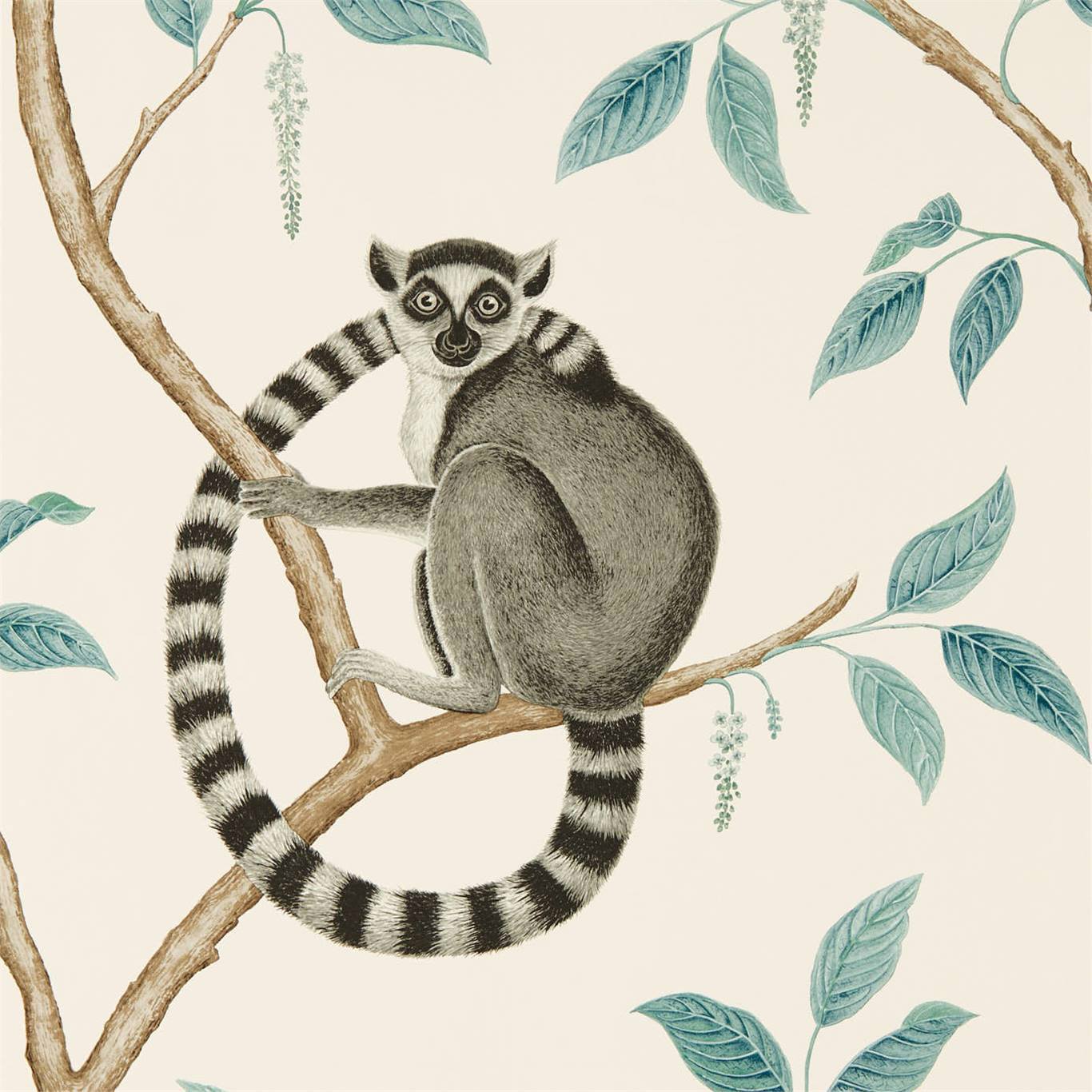 Ringtailed Lemur Ringtailed Lemur Stone/Eucalyptus Wallpaper by SAN