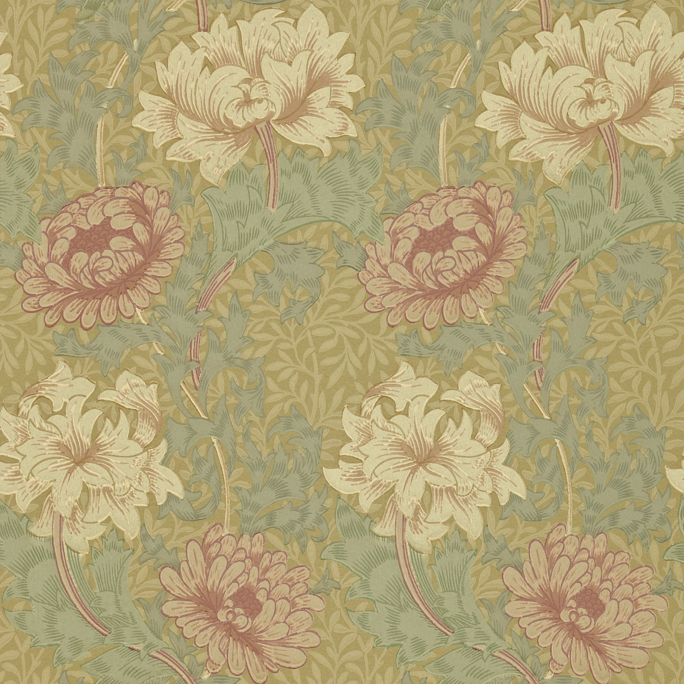 Chrysanthemum Pink/Yellow/Green Wallpaper by MOR