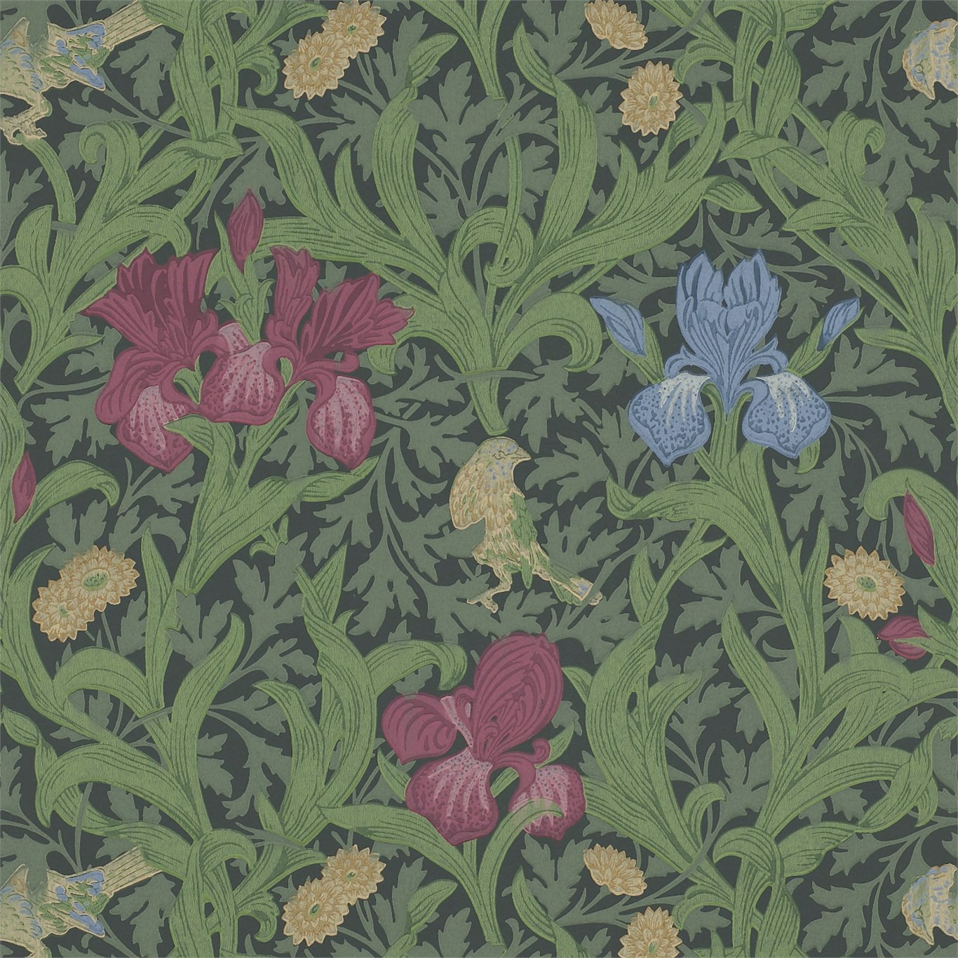 Iris Floral And Botanical Wallpaper by MOR