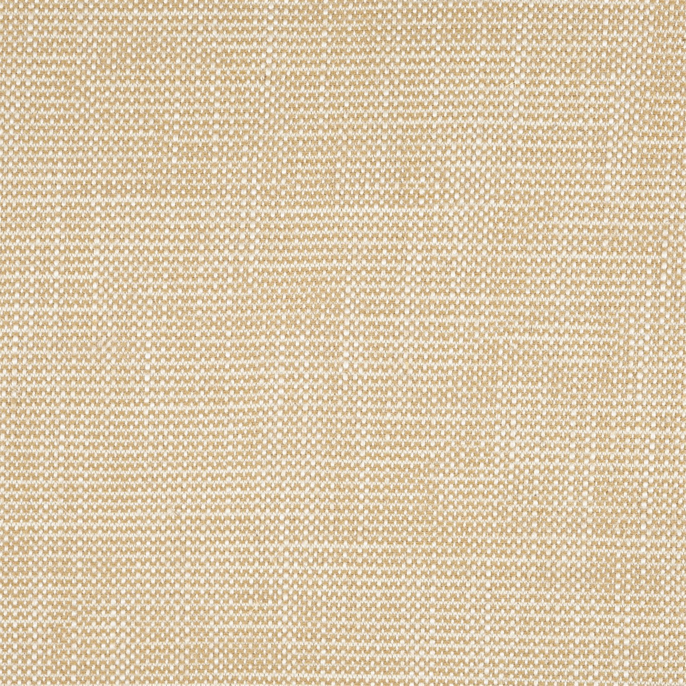 Lowen Barley Fabric by SAN