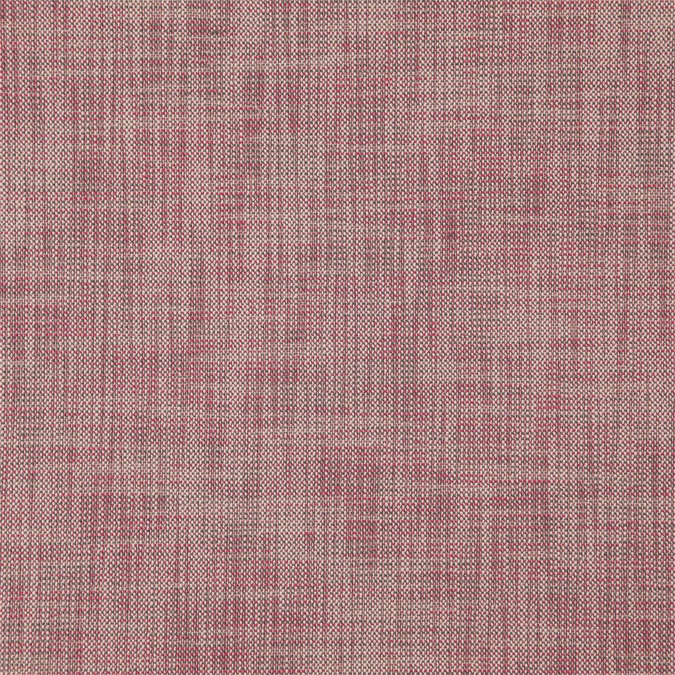 Levens Blush Fabric by SAN