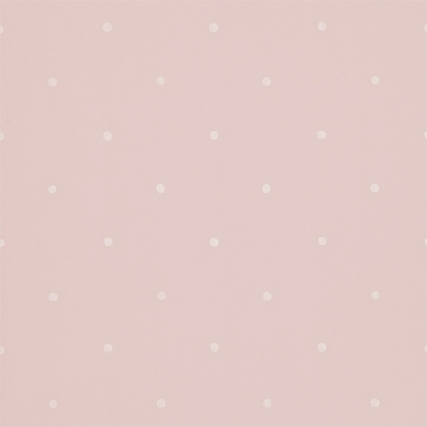 Polka Oyster Pink/Cream Wallpaper by SAN