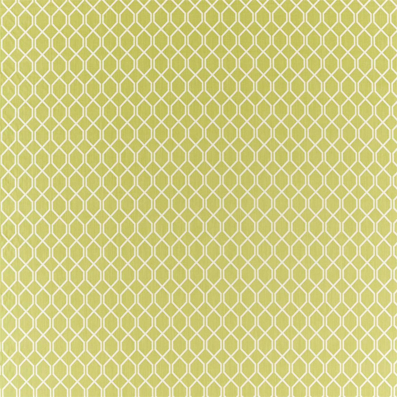 Botanic Trellis Lime Fabric by SAN