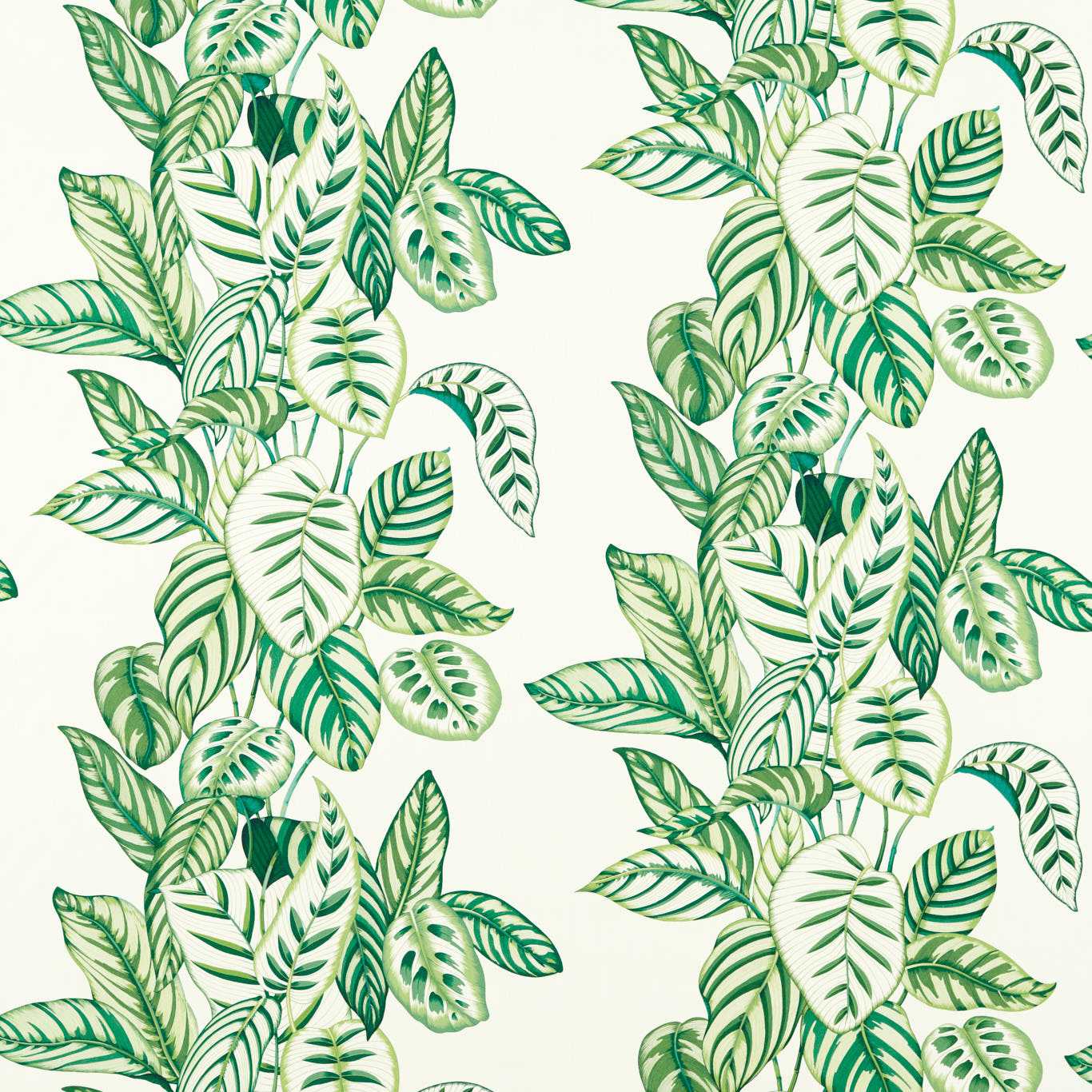 Calathea Botanical Green Fabric by SAN