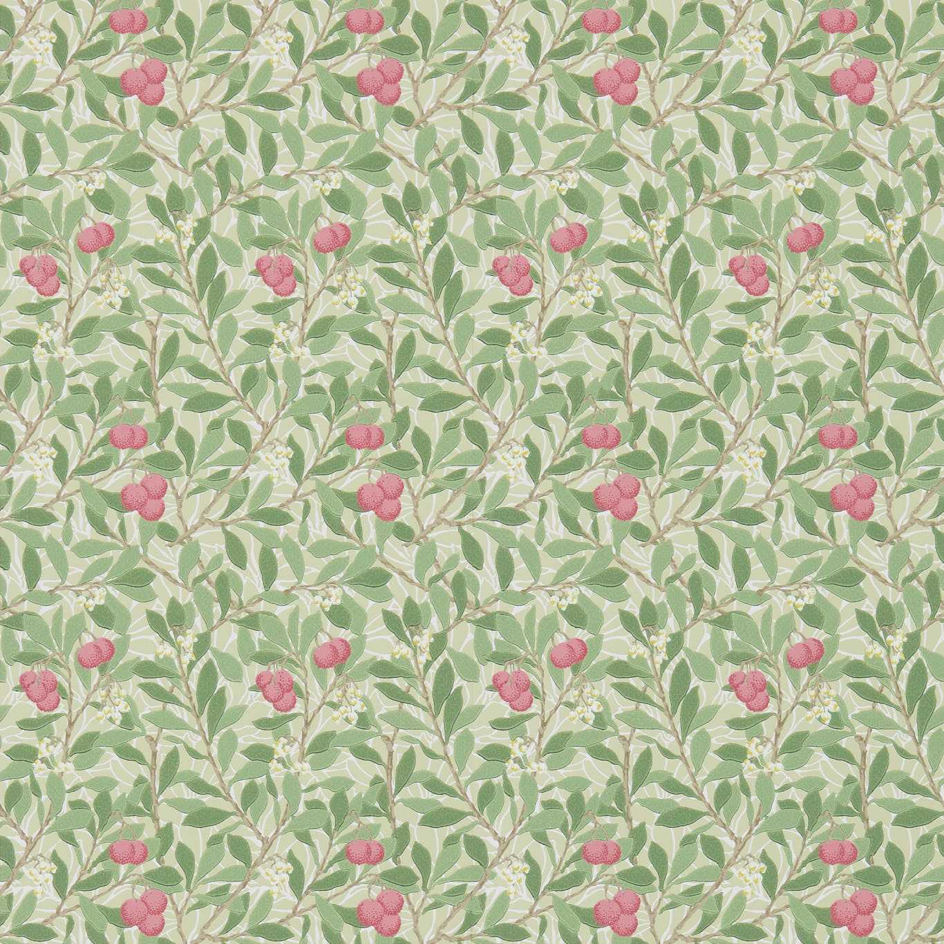 Arbutus Olive/Pink Wallpaper by MOR