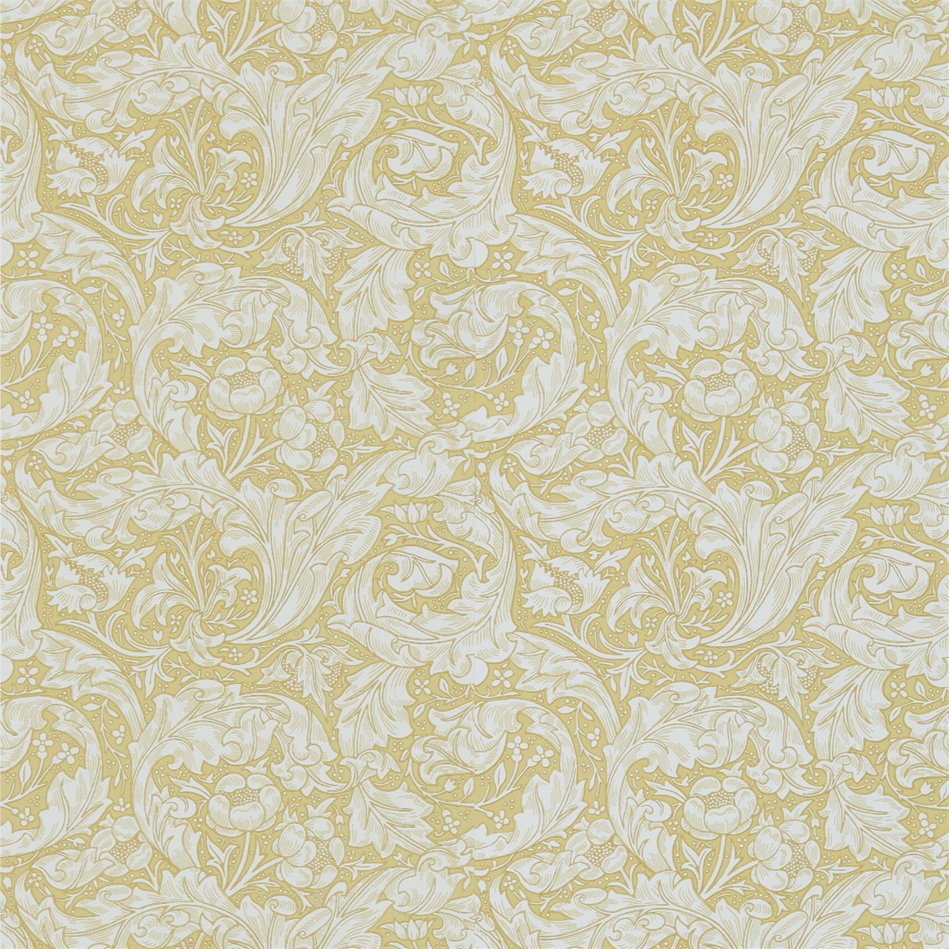 Bachelors Button Gold Wallpaper by MOR