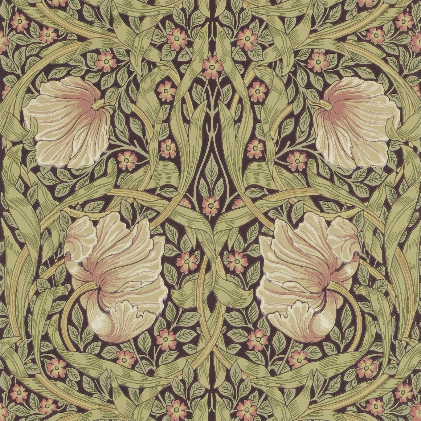 Pimpernel Bullrush/Russet Wallpaper by MOR