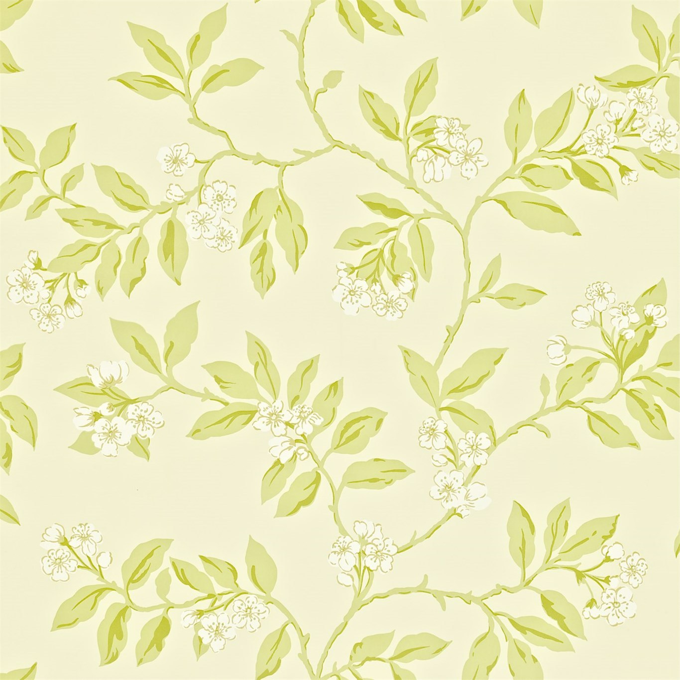 Blossom Bough Cream/Sage Wallpaper by SAN