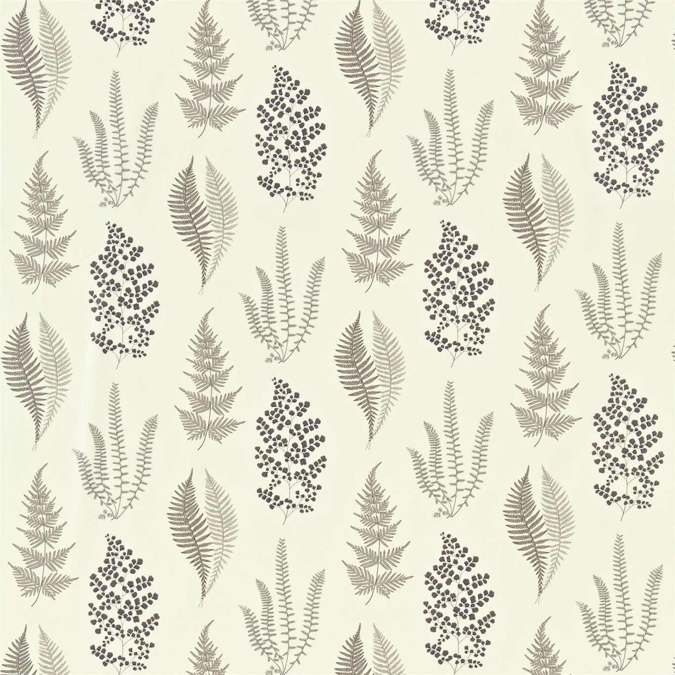 Angel Ferns Charcoal Fabric by SAN