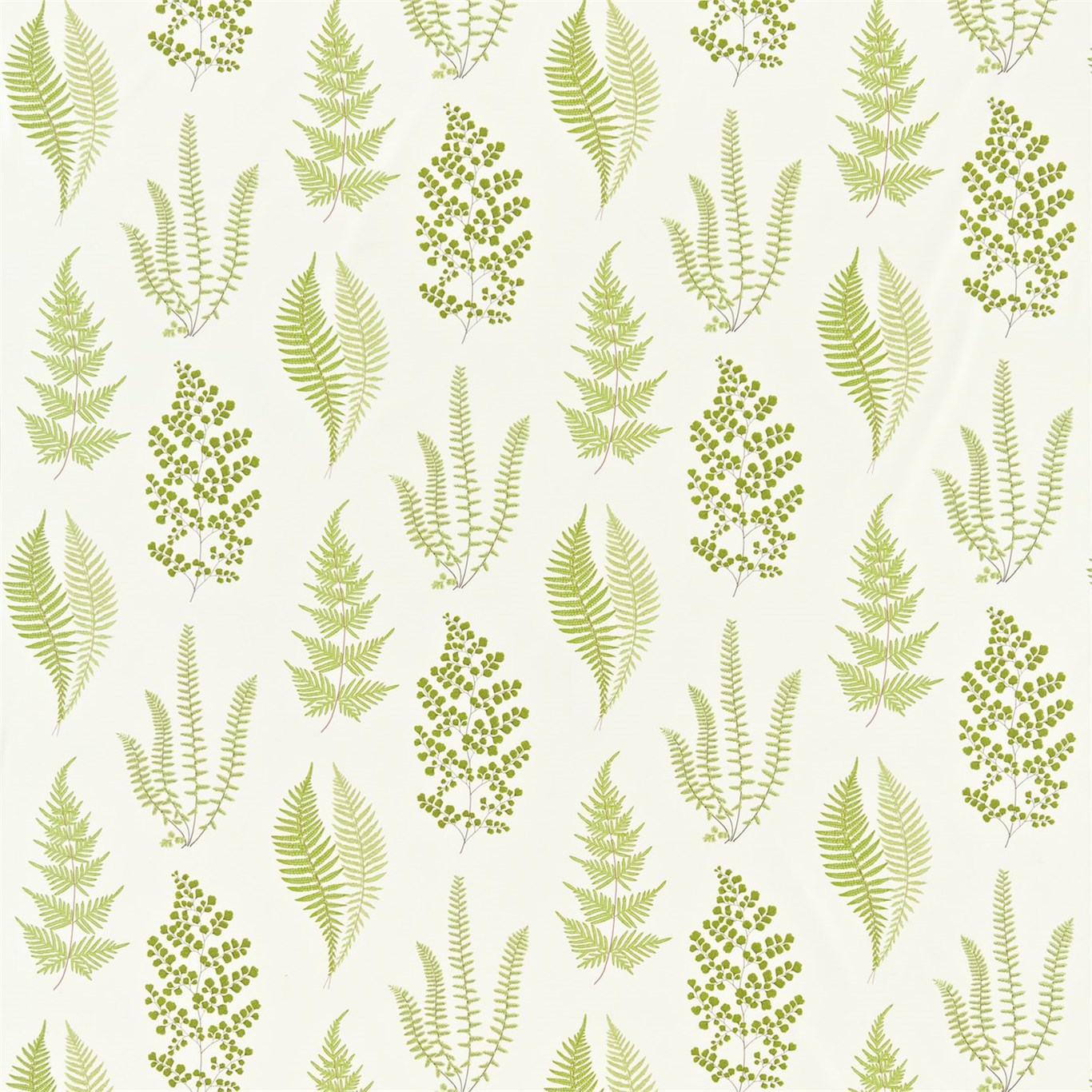 Angel Ferns Olive Fabric by SAN