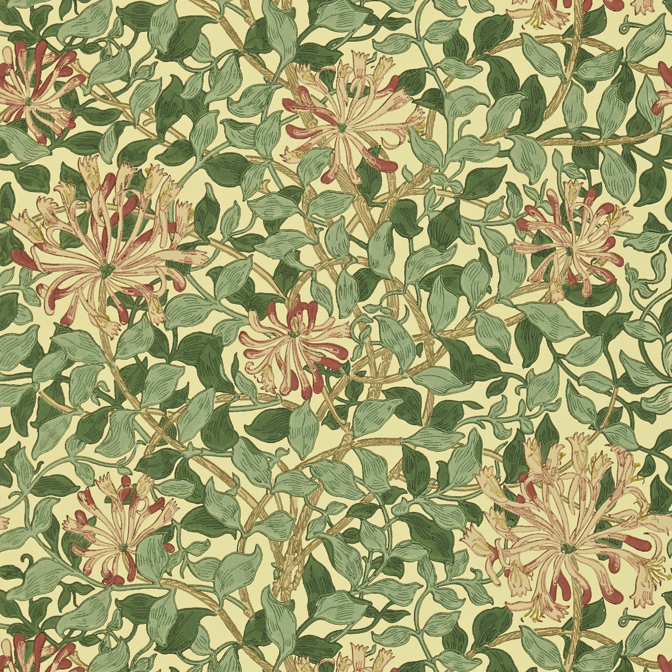 Honeysuckle Green/Coral Pink Wallpaper by MOR