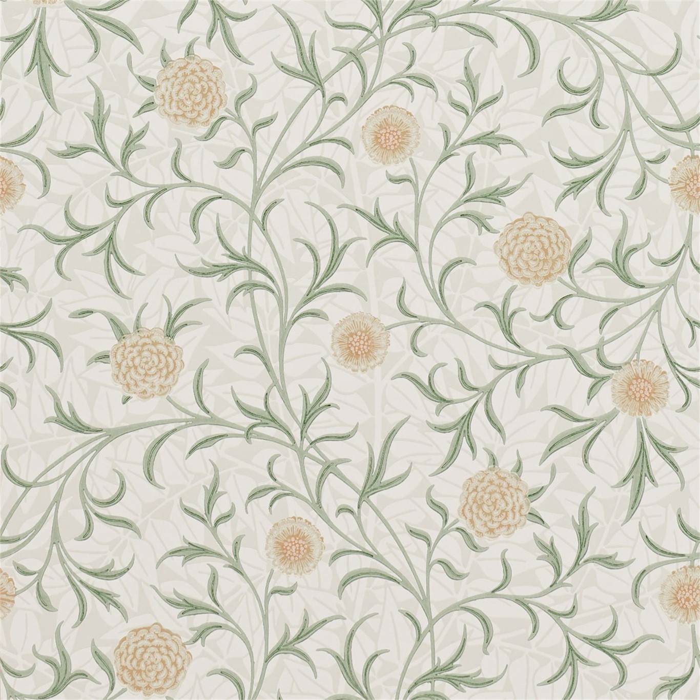 Scroll Thyme/Pear Wallpaper by MOR