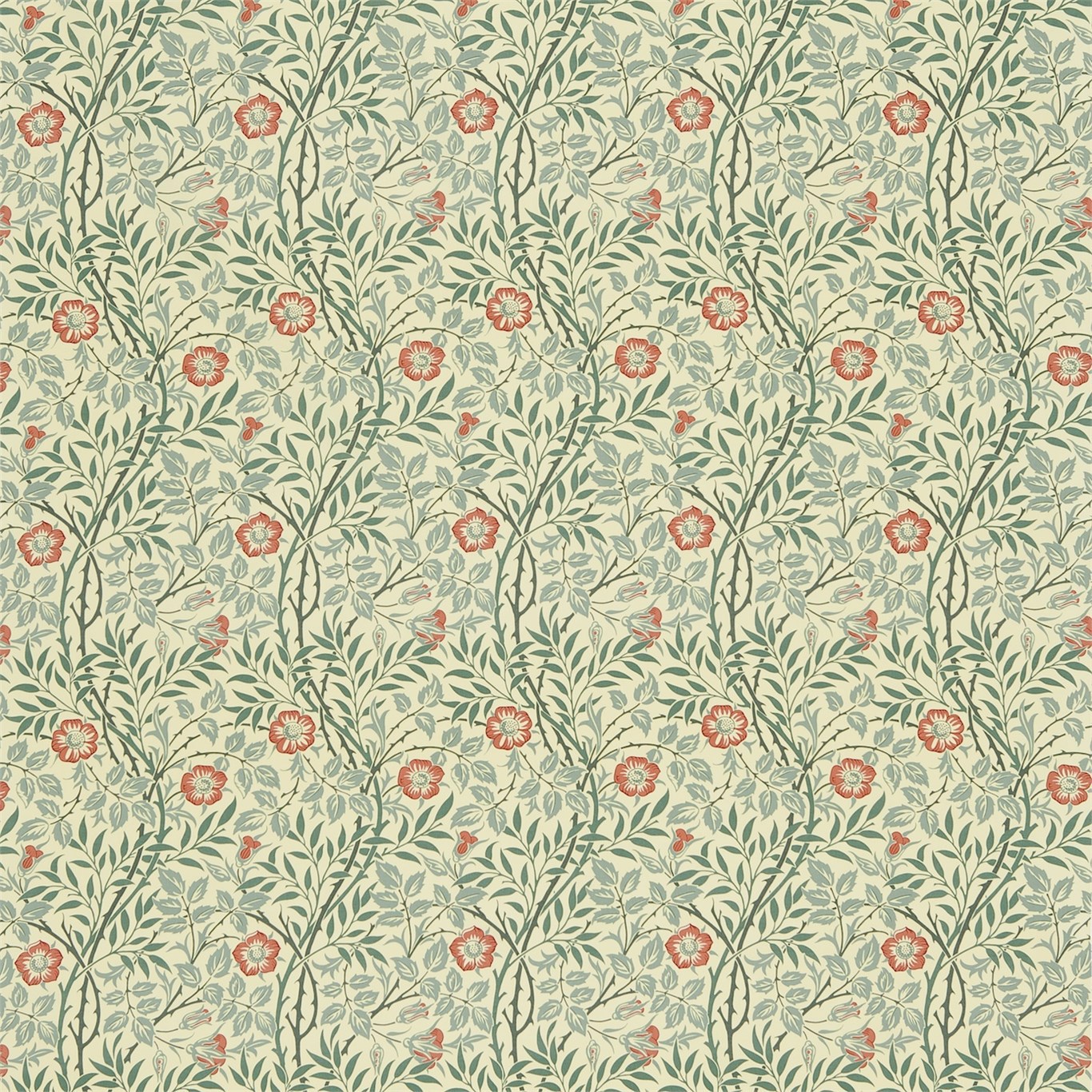 Sweet Briar Green/Coral Fabric by MOR