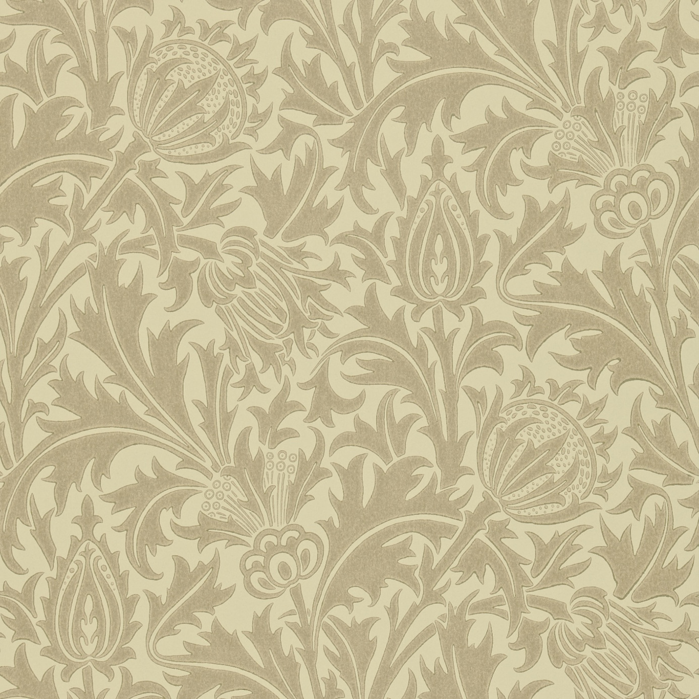 Thistle Dove/Gold Wallpaper by MOR