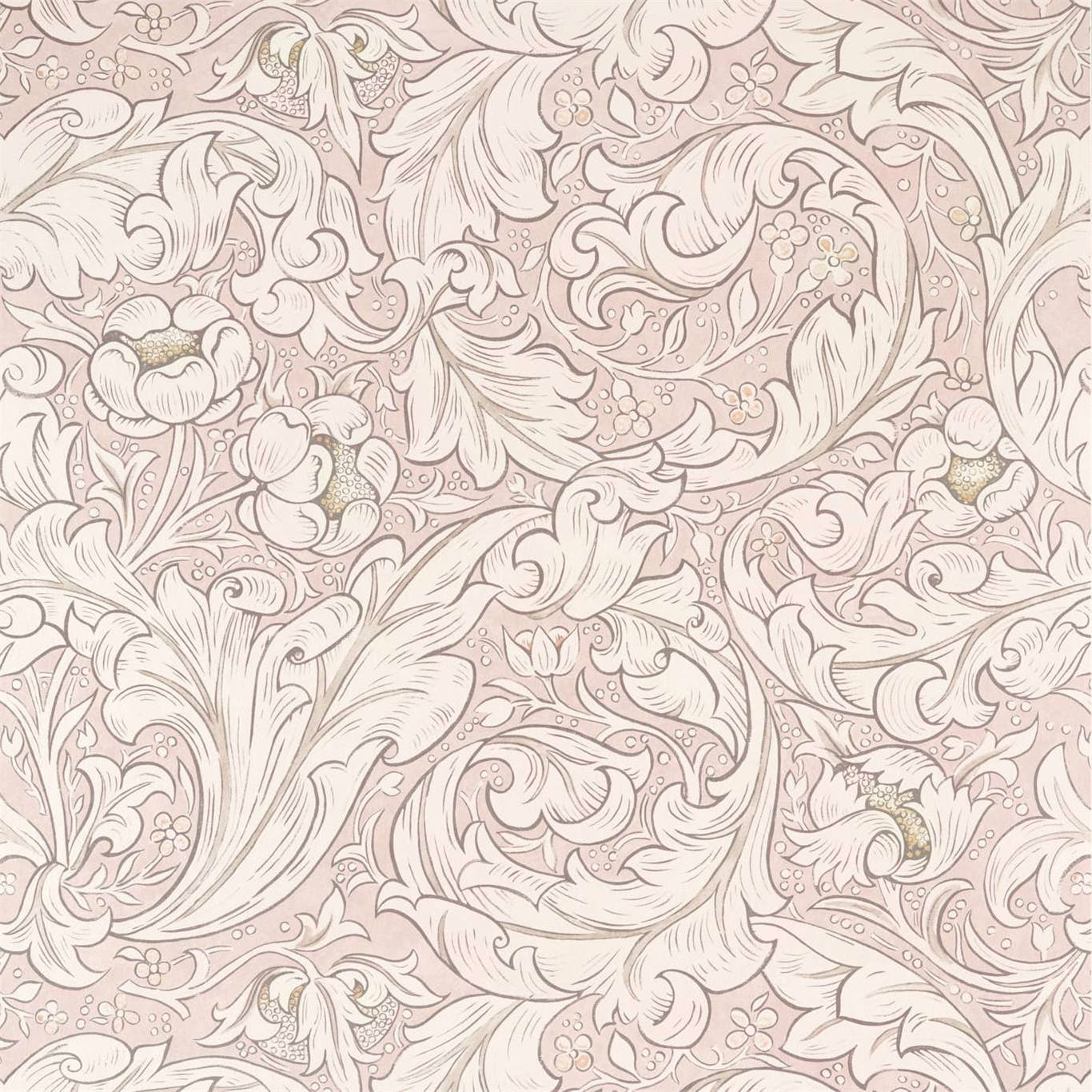 Pure Bachelors Button Faded Sea Pink Wallpaper by MOR