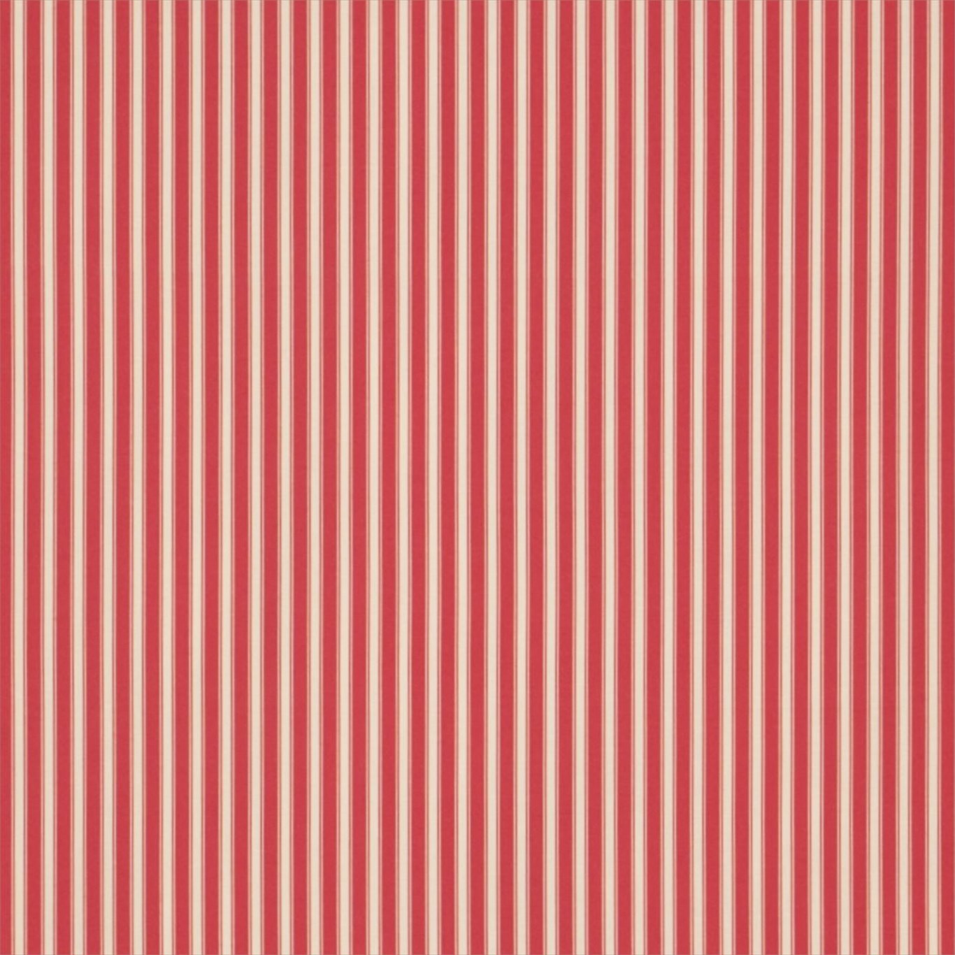 Tiger Stripe Cherry/Cream Fabric by SAN