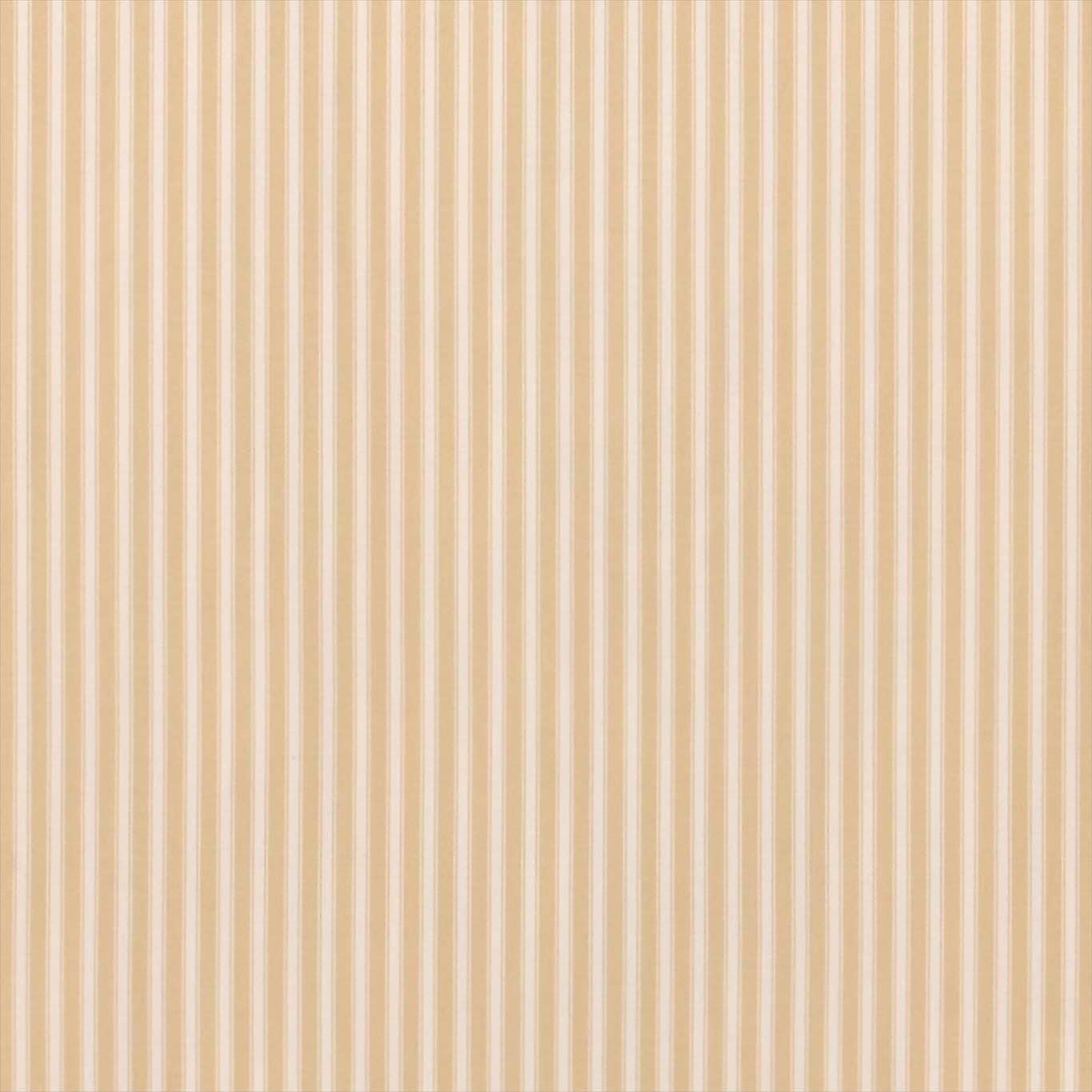 Tiger Stripe Honey/Cream Fabric by SAN