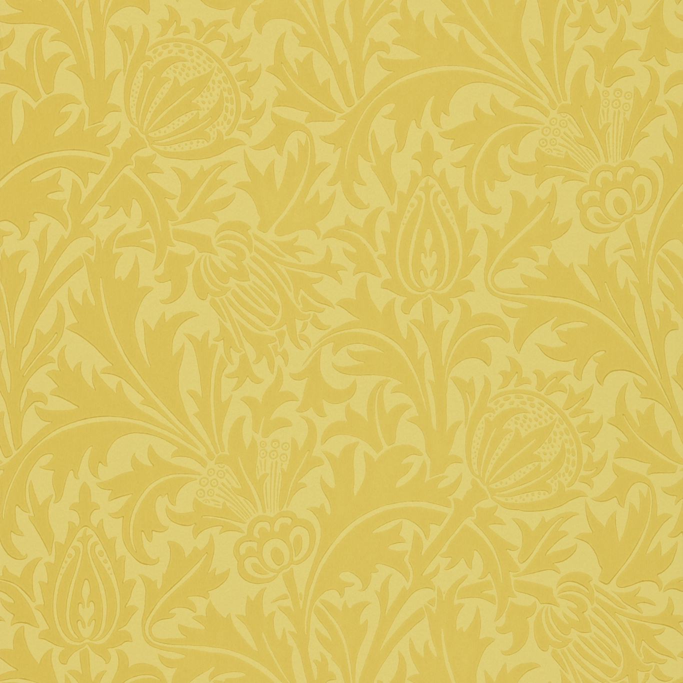 Thistle Gold Wallpaper by MOR