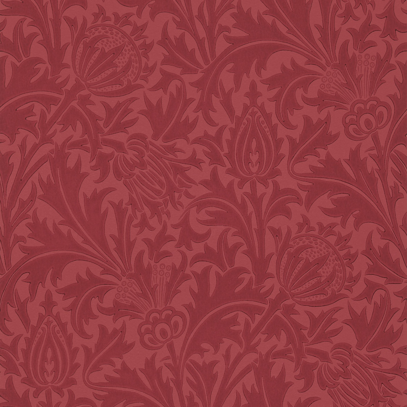 Thistle Red Wallpaper by MOR