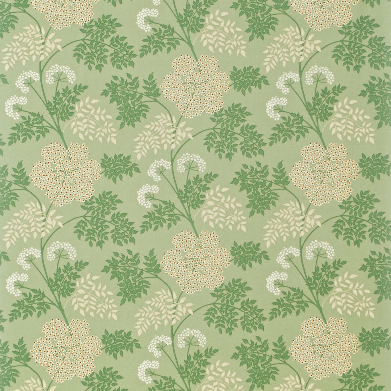 Cowparsley Celadon Fabric by SAN