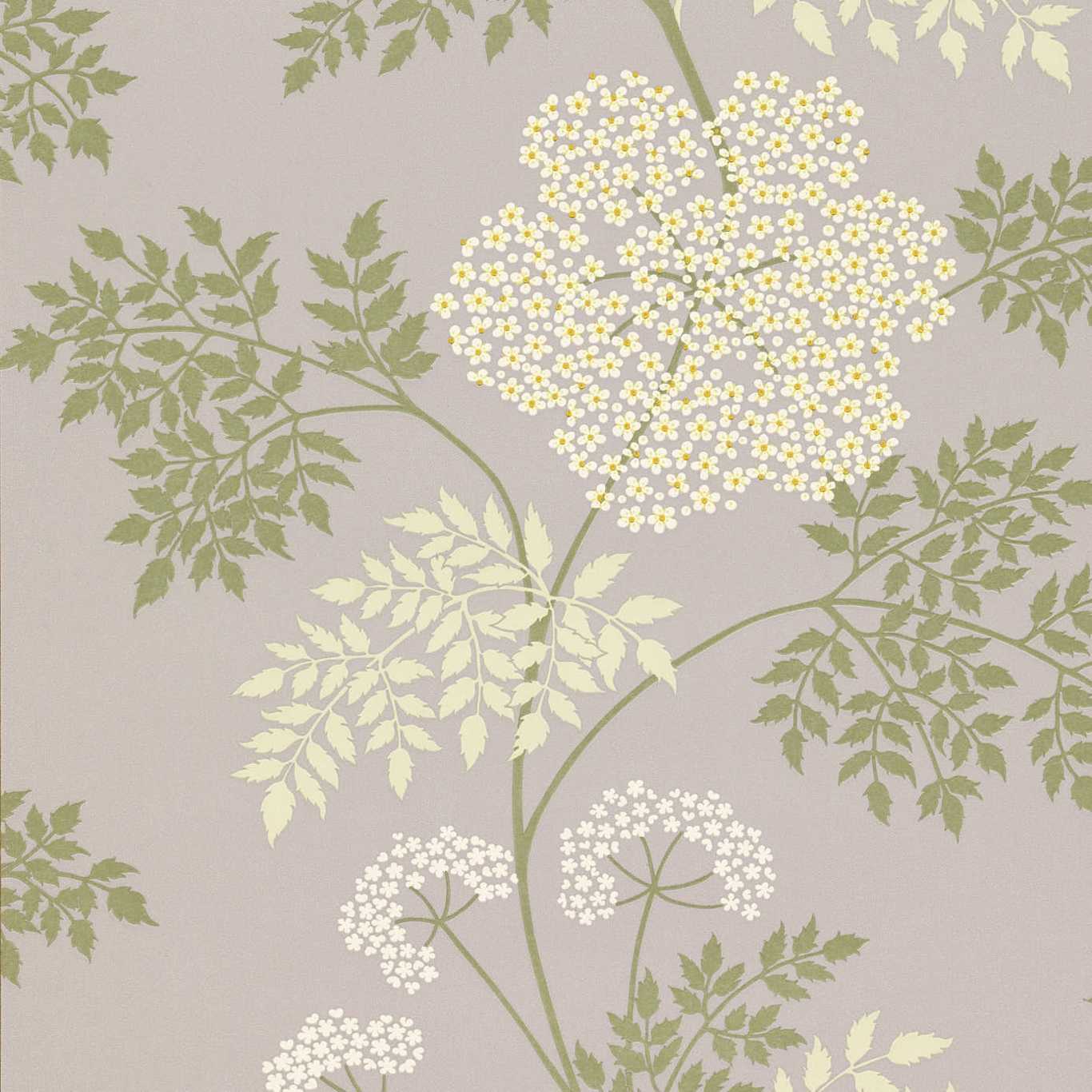 Tapeta Cole and Son Cow Parsley White/Yellow - Decoratore.pl