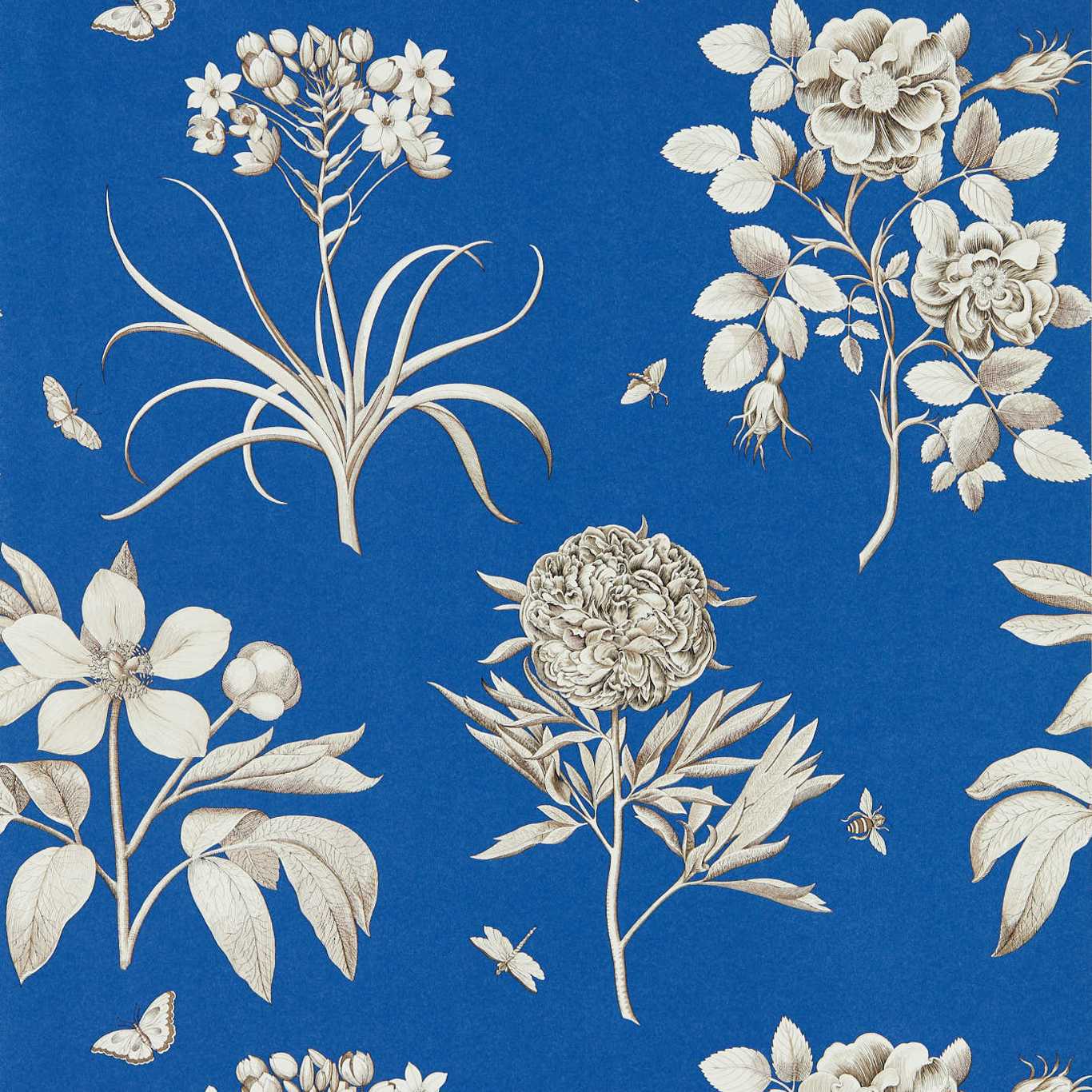 Etchings & Roses French Blue Wallpaper by SAN
