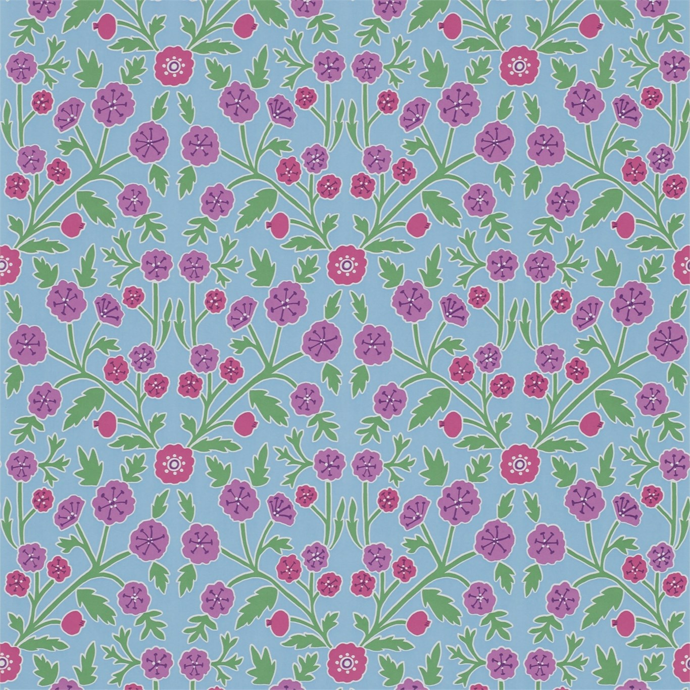 Candytuft Powder Blue/Berry Wallpaper by SAN
