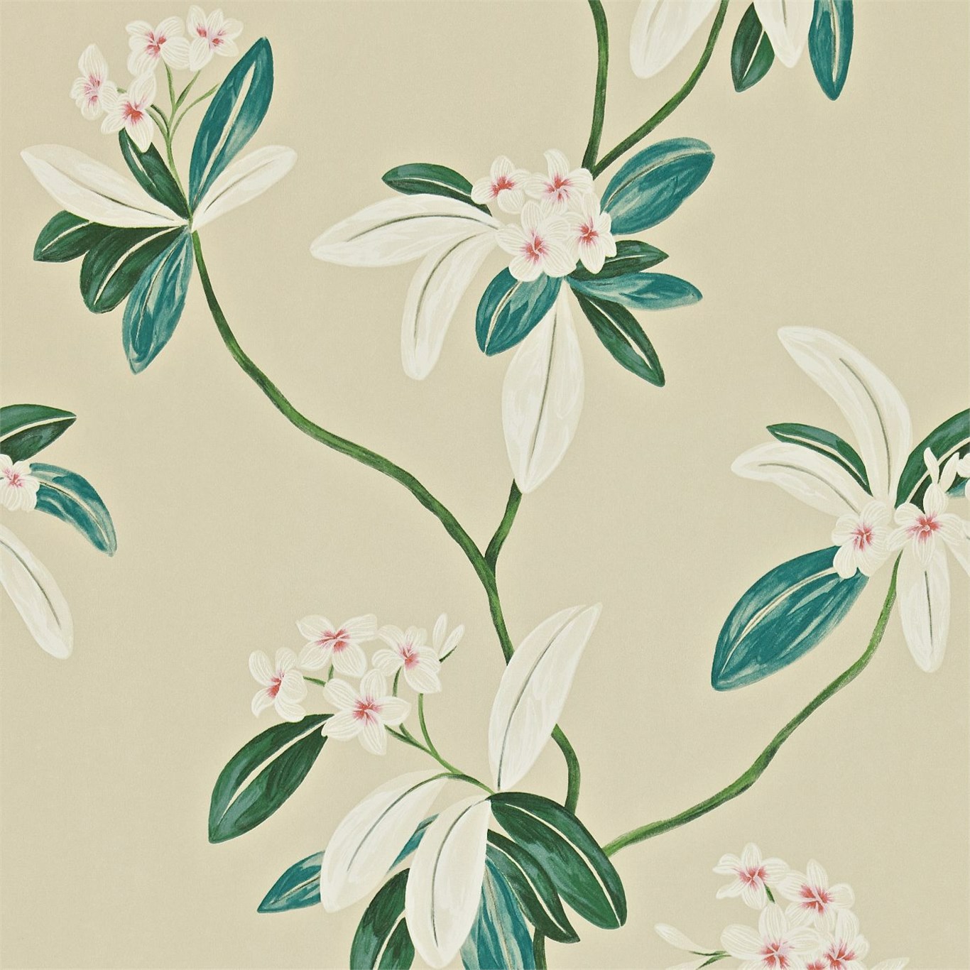 Oleander Orange/Teal Wallpaper by SAN