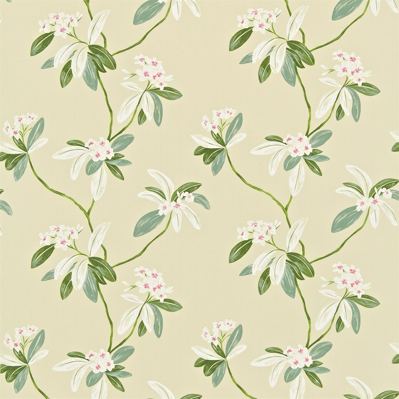 Oleander Rose/Cream Fabric by SAN