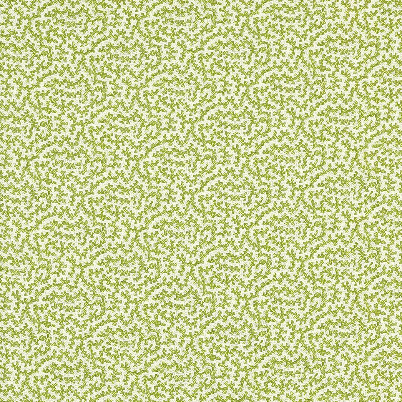 Truffle Olive Fabric by SAN