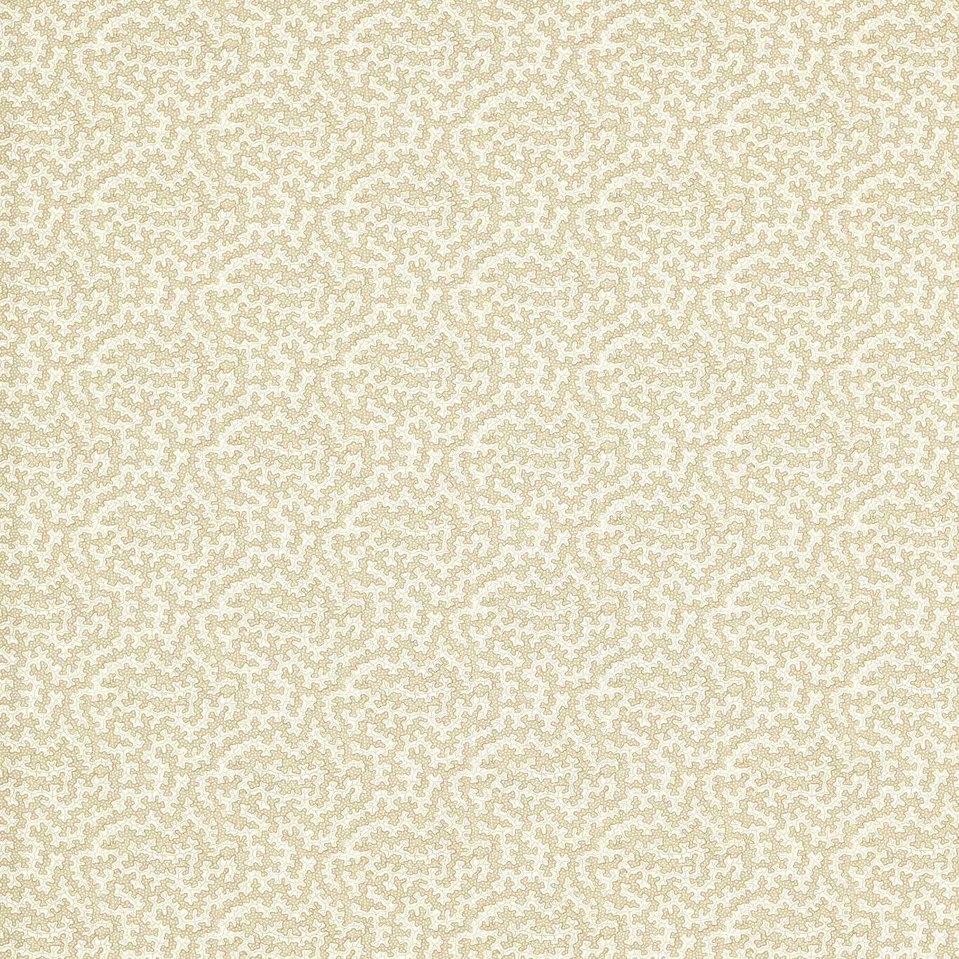 Truffle Sand Dollar Fabric by SAN