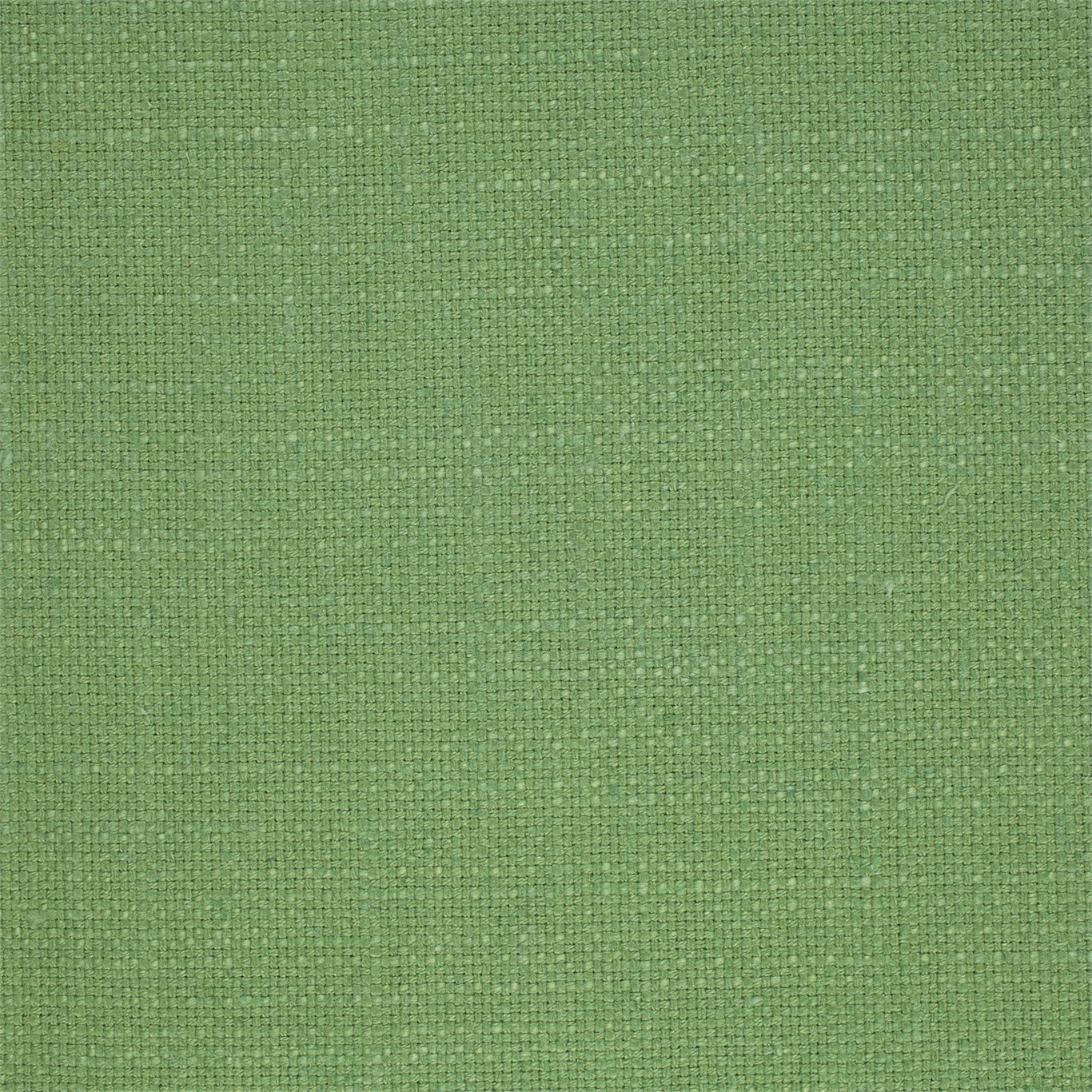 Tuscany Leaf Green Fabric by SAN