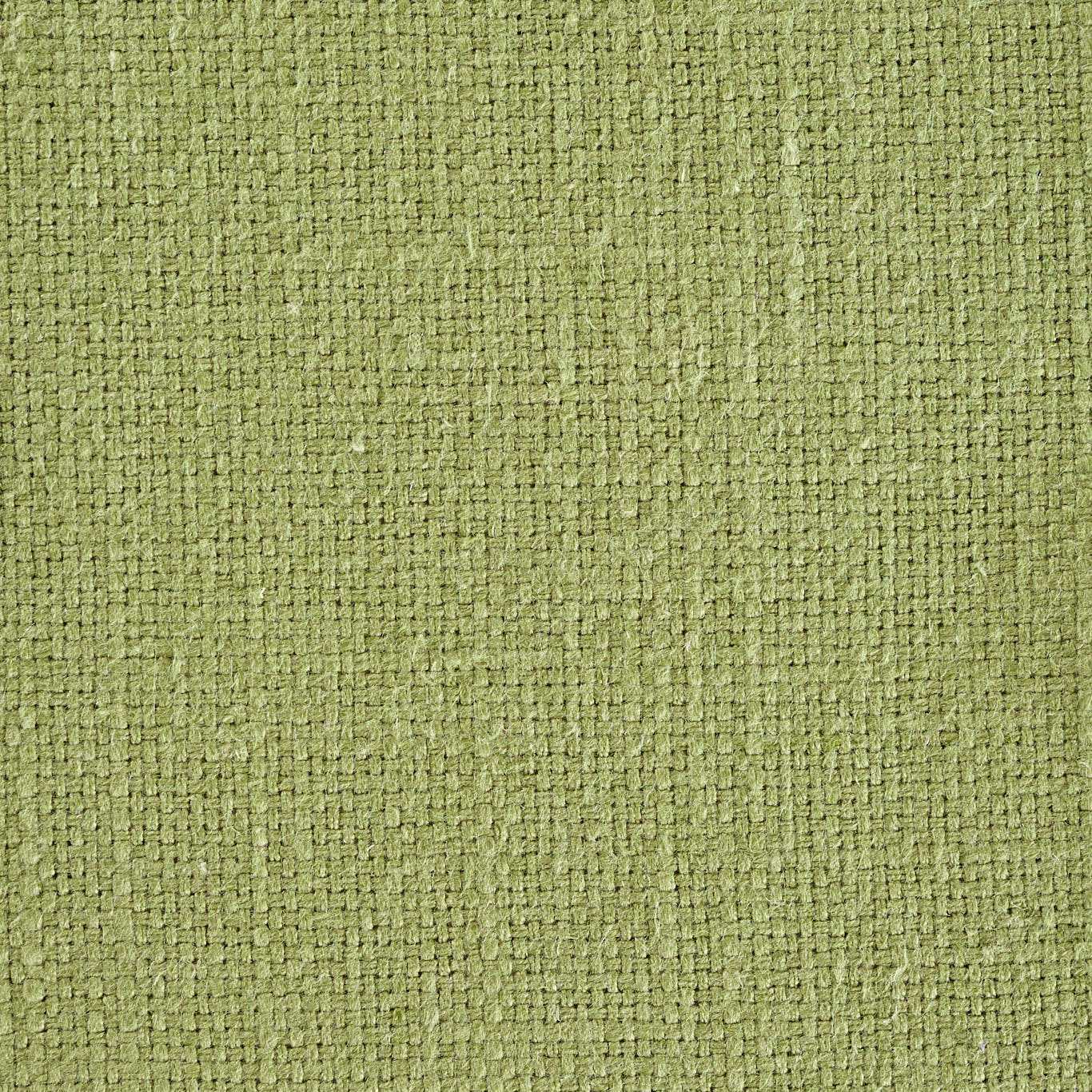 Tuscany Moss Fabric by SAN