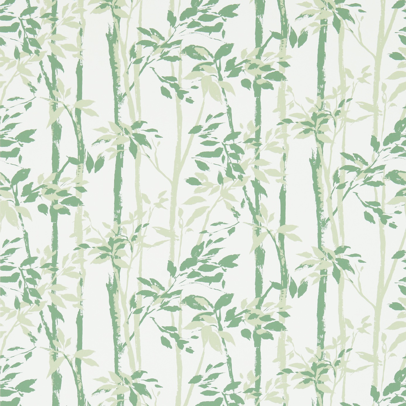 Beechgrove Green/Ivory Wallpaper by SAN