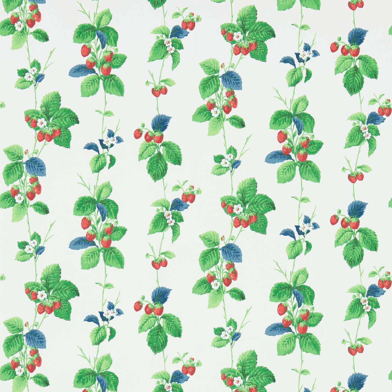 Summer Strawberries Strawberry/Leaf Wallpaper by SAN