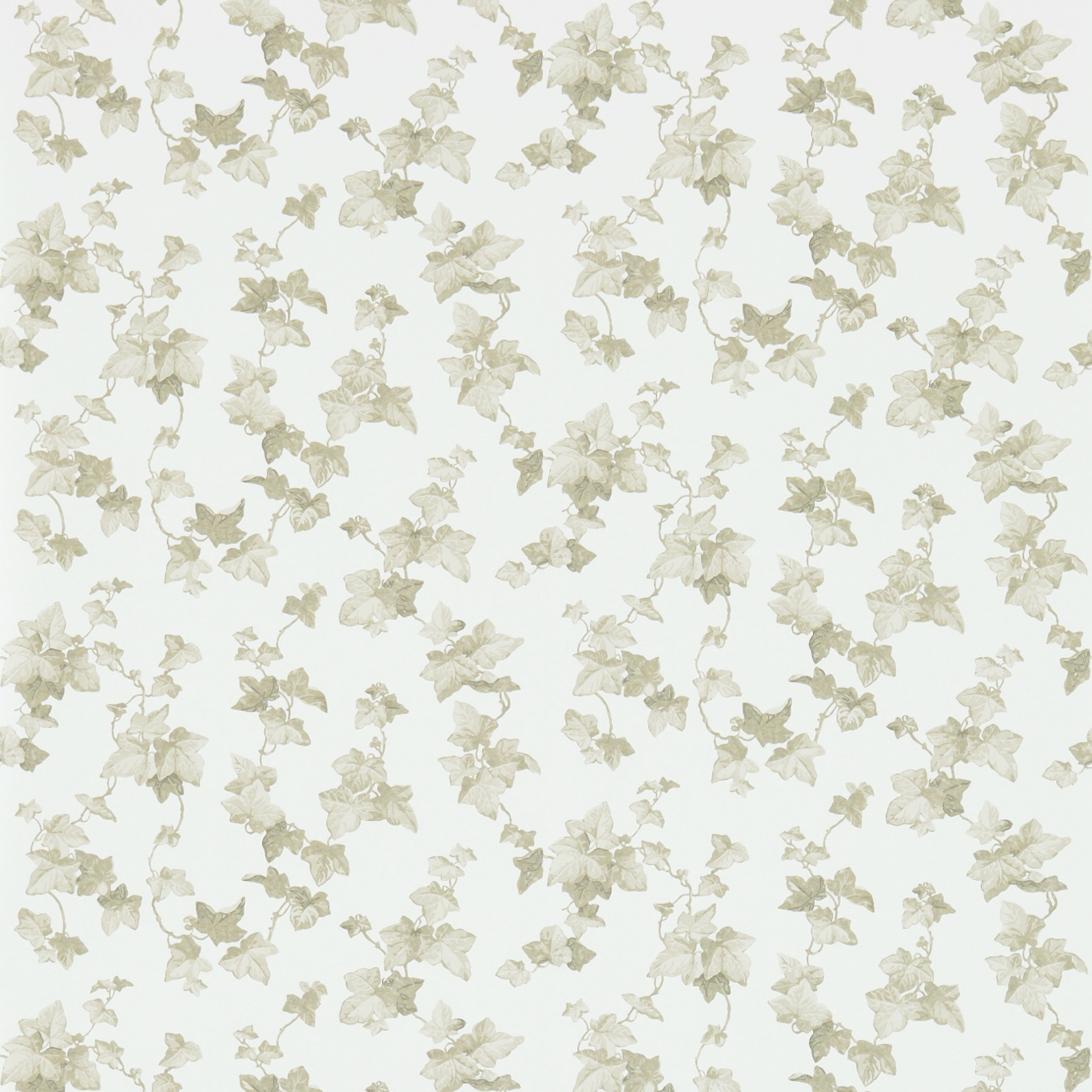 Hedera Pearl/Neutral Wallpaper by SAN