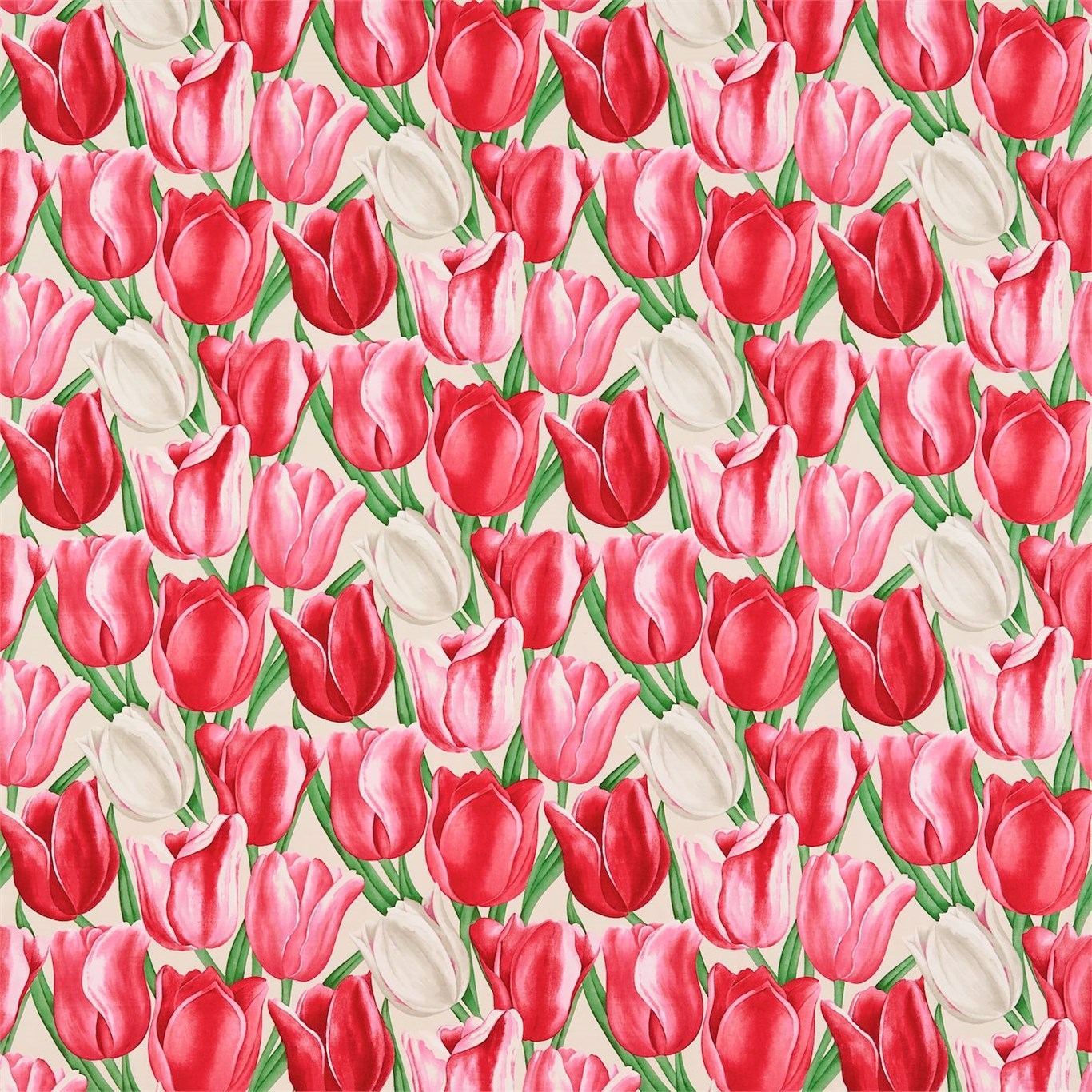 Early Tulips Cherry Red Fabric Sanderson By Sanderson Design   DVIPEA204 