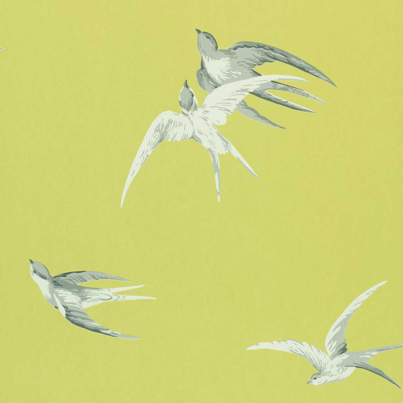 Swallows Lime Wallpaper by SAN
